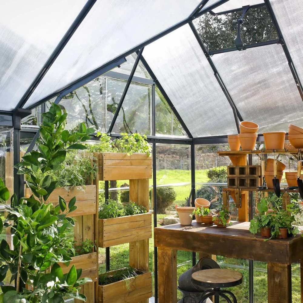 [10x12FT] Premium T-Shaped Cathedral Outdoor Walk-In Greenhouse And Solarium (91364285) - Image 4