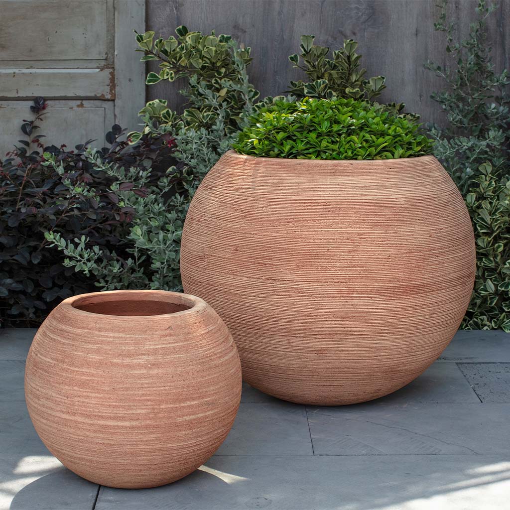 Campania Allium Planter, Set of 2 - 6499-23802 - Image 2