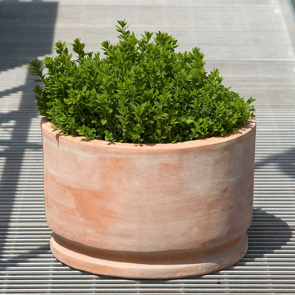 Campania Amelie  Planter, Set of 2 - 342105-2402
