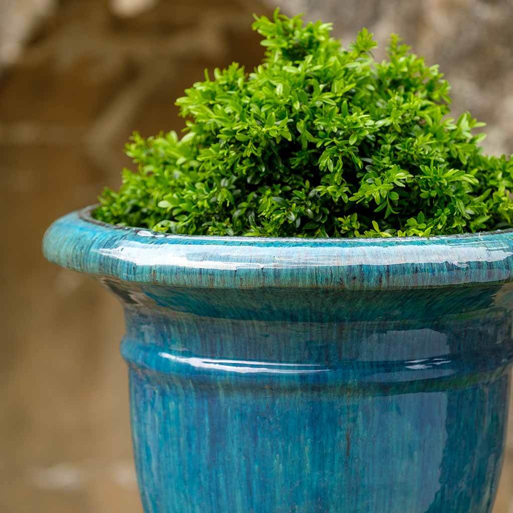 Campania Beldon Urn Planter - 350162-0101 - Image 3