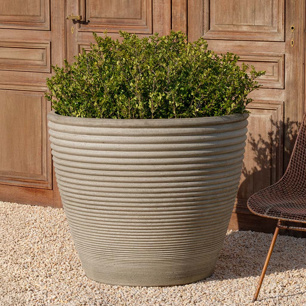 Campania Bibendum Planter - P-992 - Image 4