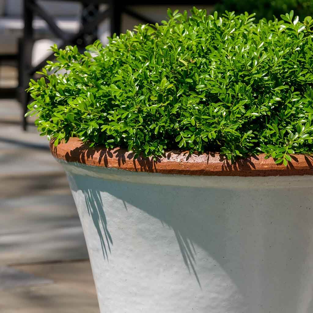 Campania Brighton Planter, Set of 3 - 364138-0103 - Image 3