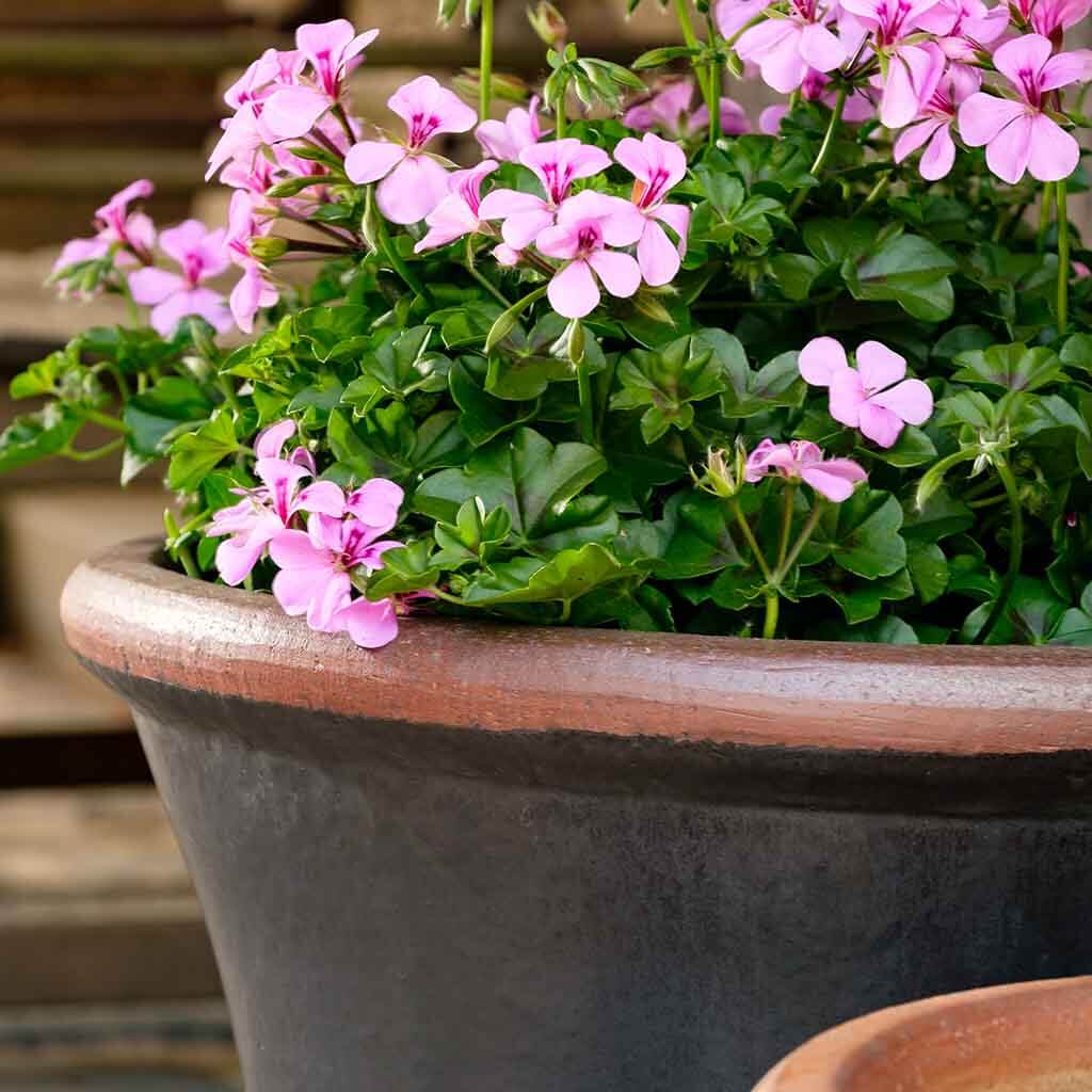 Campania Brighton Planter, Set of 3 - 364138-0103 - Image 4