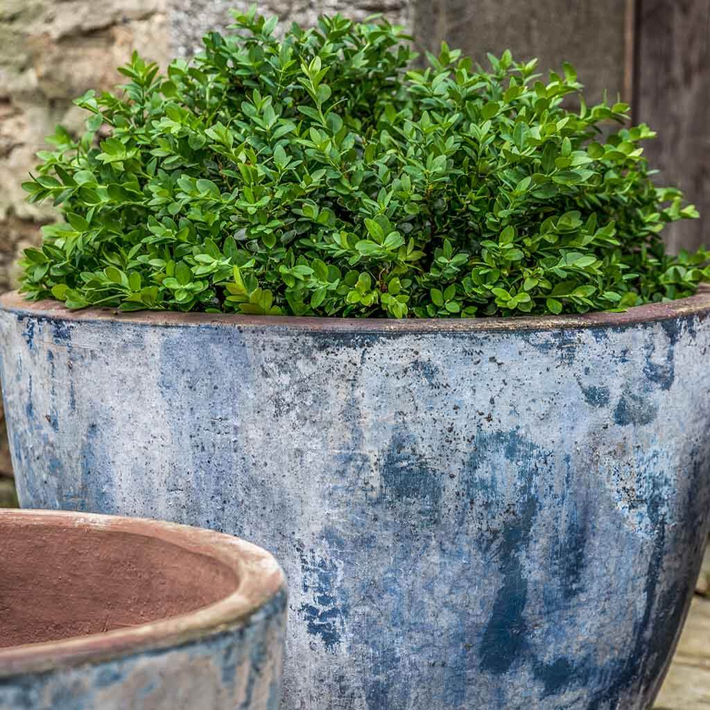 Campania Cassia Planter, Set of 4- 5002-18004 - Image 2