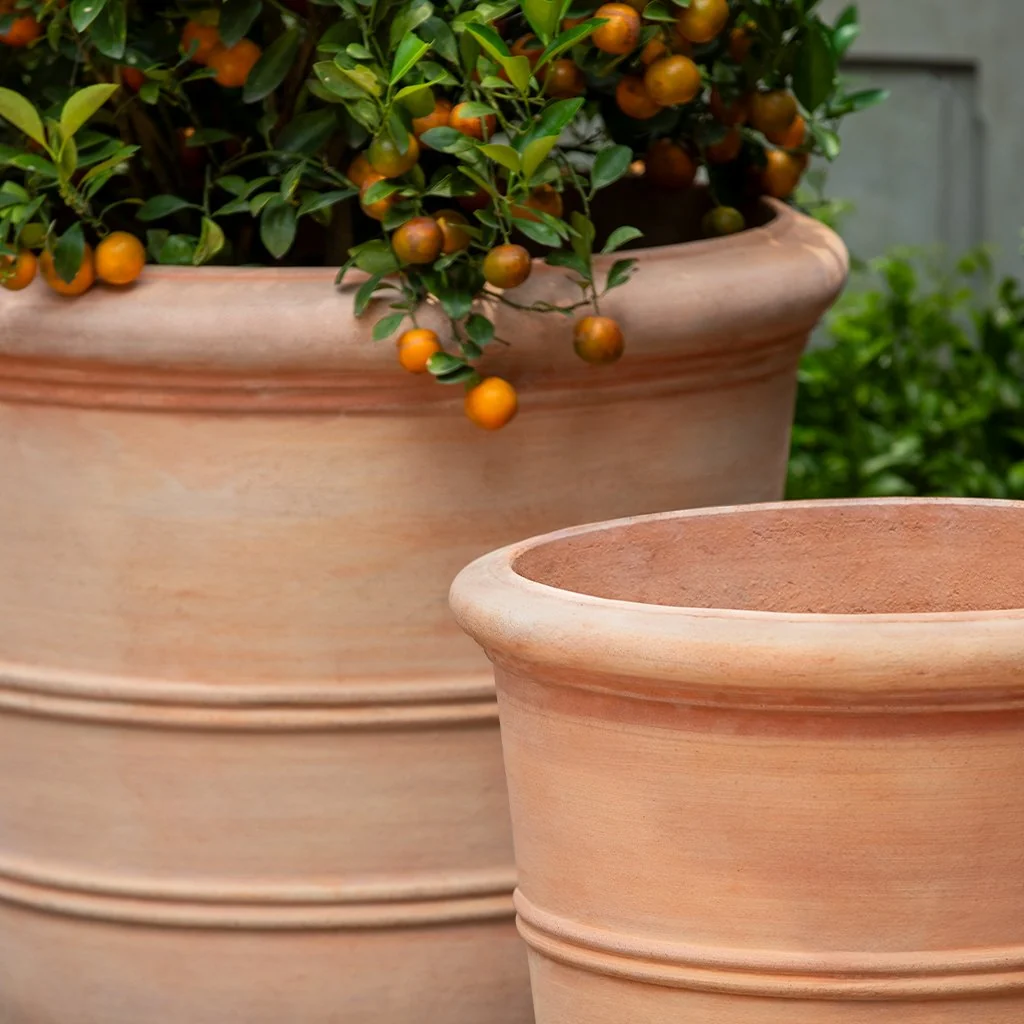 Campania Classic Orangerie Planter, Set of 3 - 8360-2403 - Image 2
