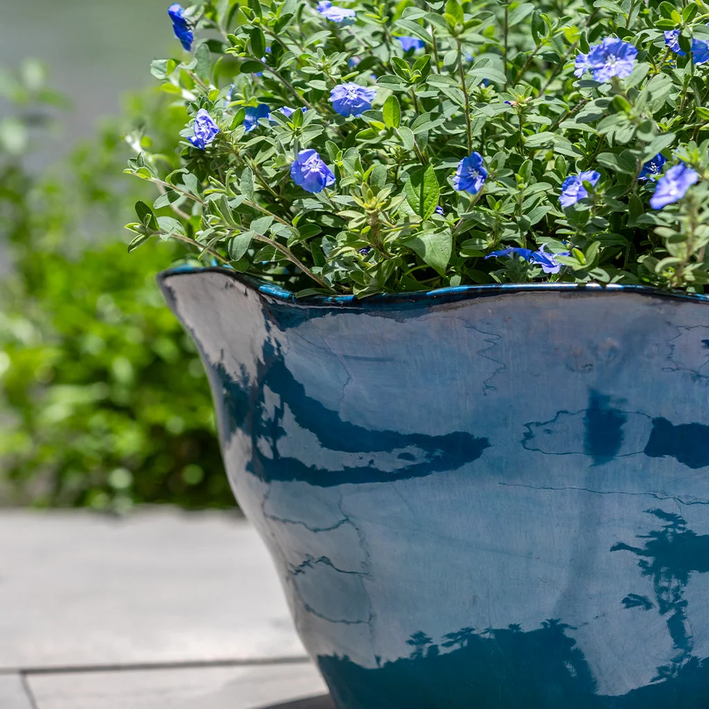 Campania Foxglove Planter, Low, Set of 3 - 7009-26803 - Image 4