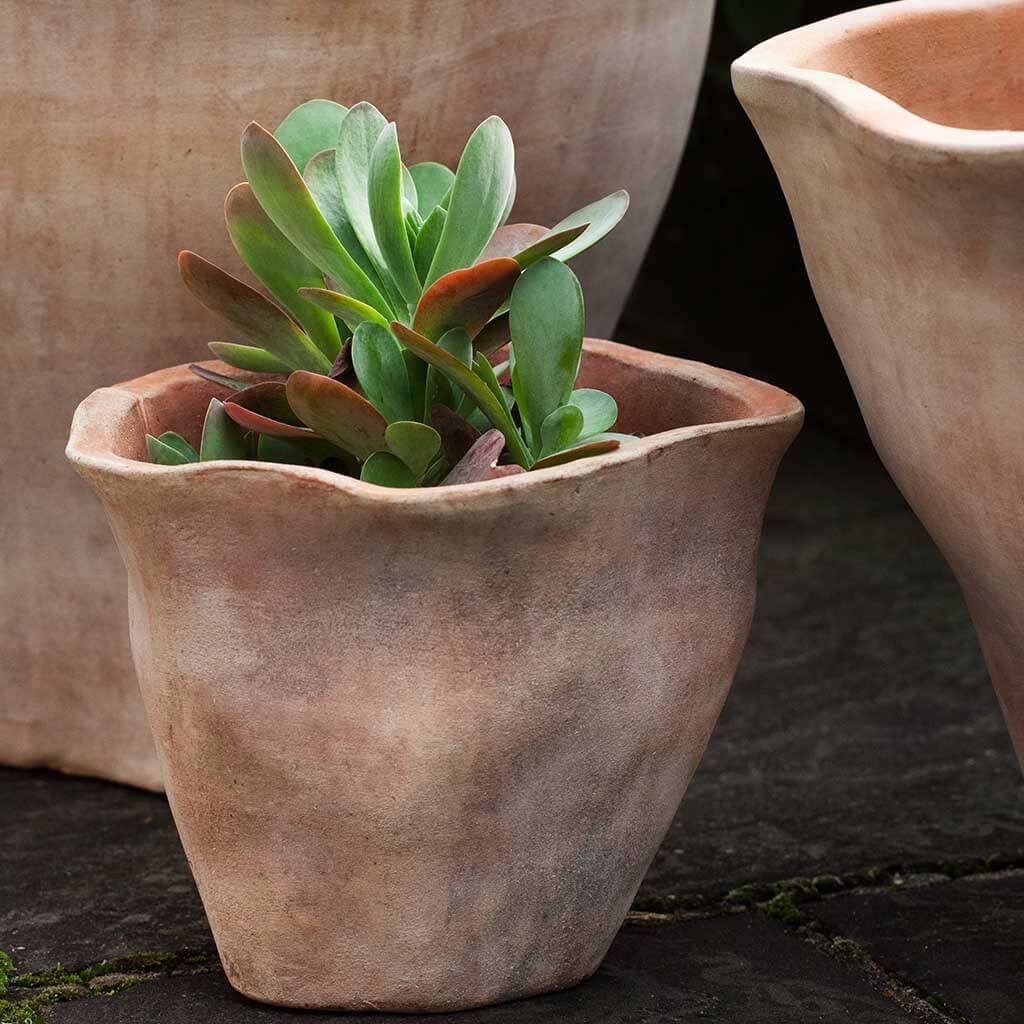 Campania Foxglove Planter, Set of 3 - 6017-2403 - Image 2