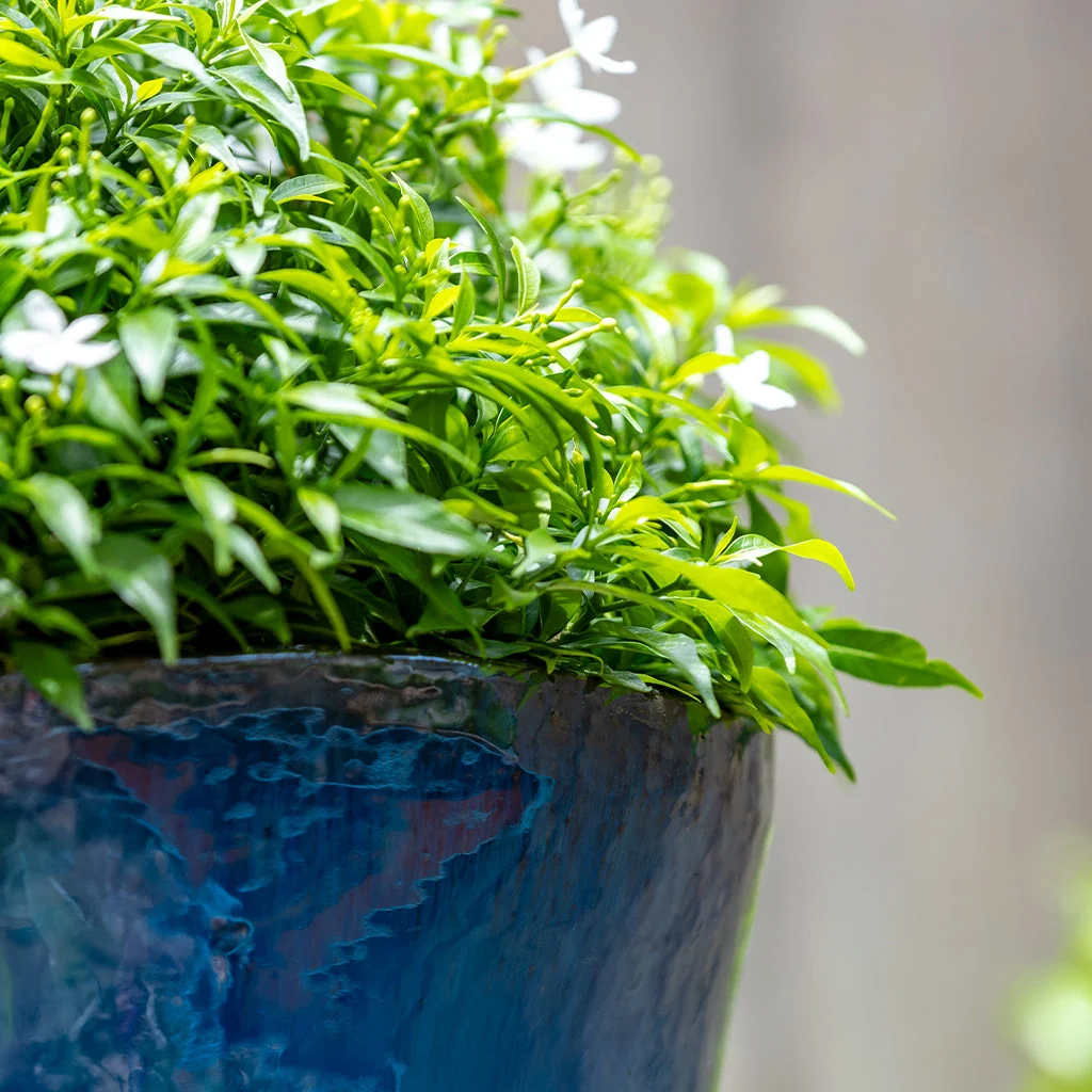 Campania Foxglove Planter, Set of 3 - 7008-26803 - Image 3