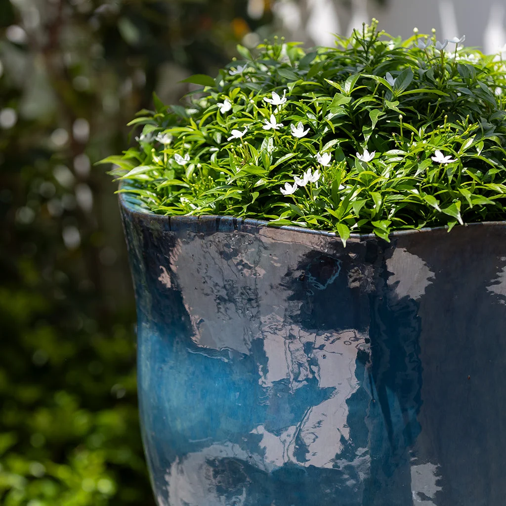 Campania Foxglove Planter, Tall, Set of 3 - 7007-0703 - Image 6