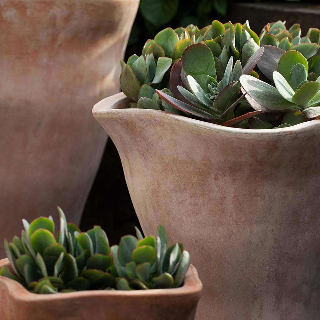 Campania Foxglove Tall Planter, Set of 3 - 6016-2403 - Image 2