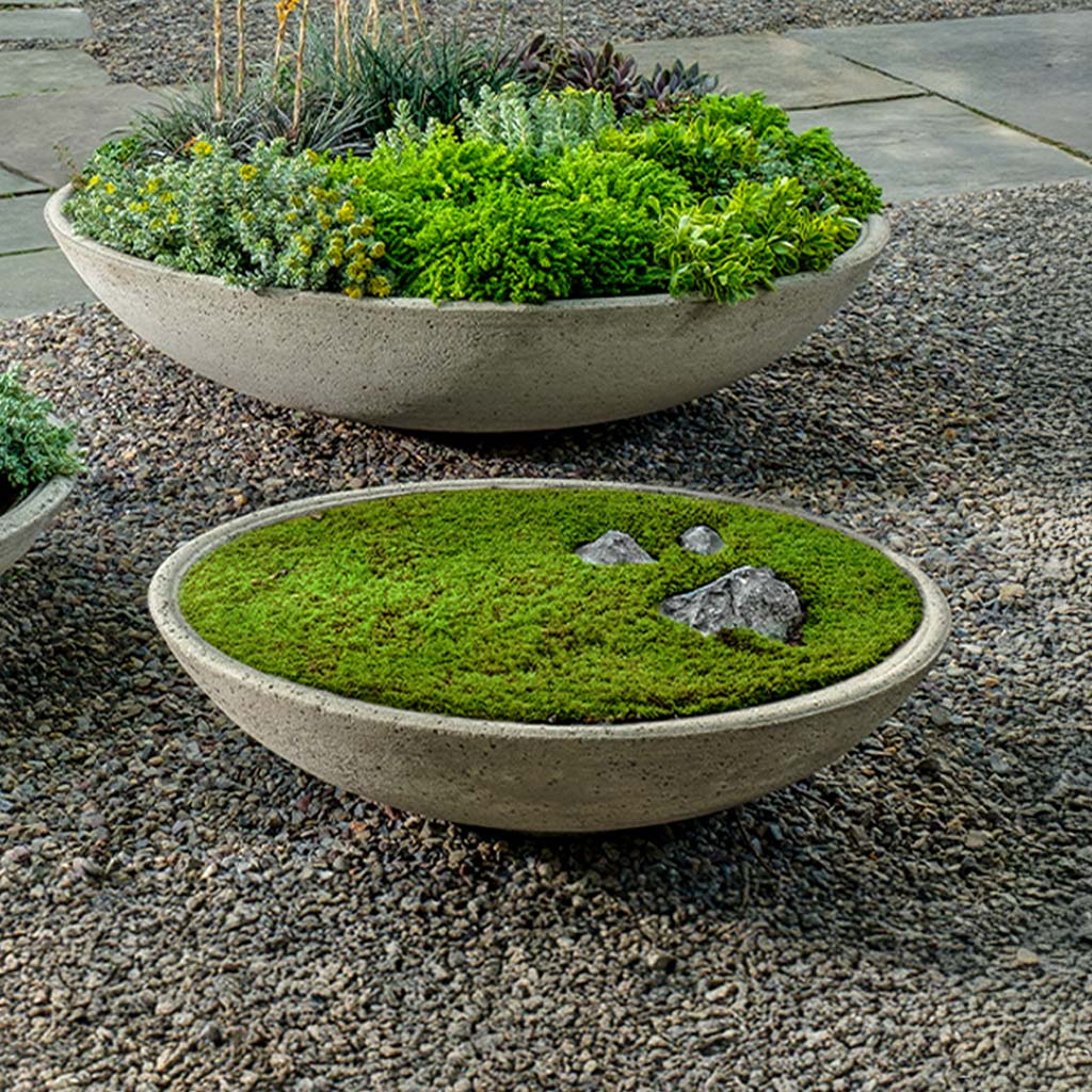 Campania Garden Bowl Planter - P-996 - Image 10