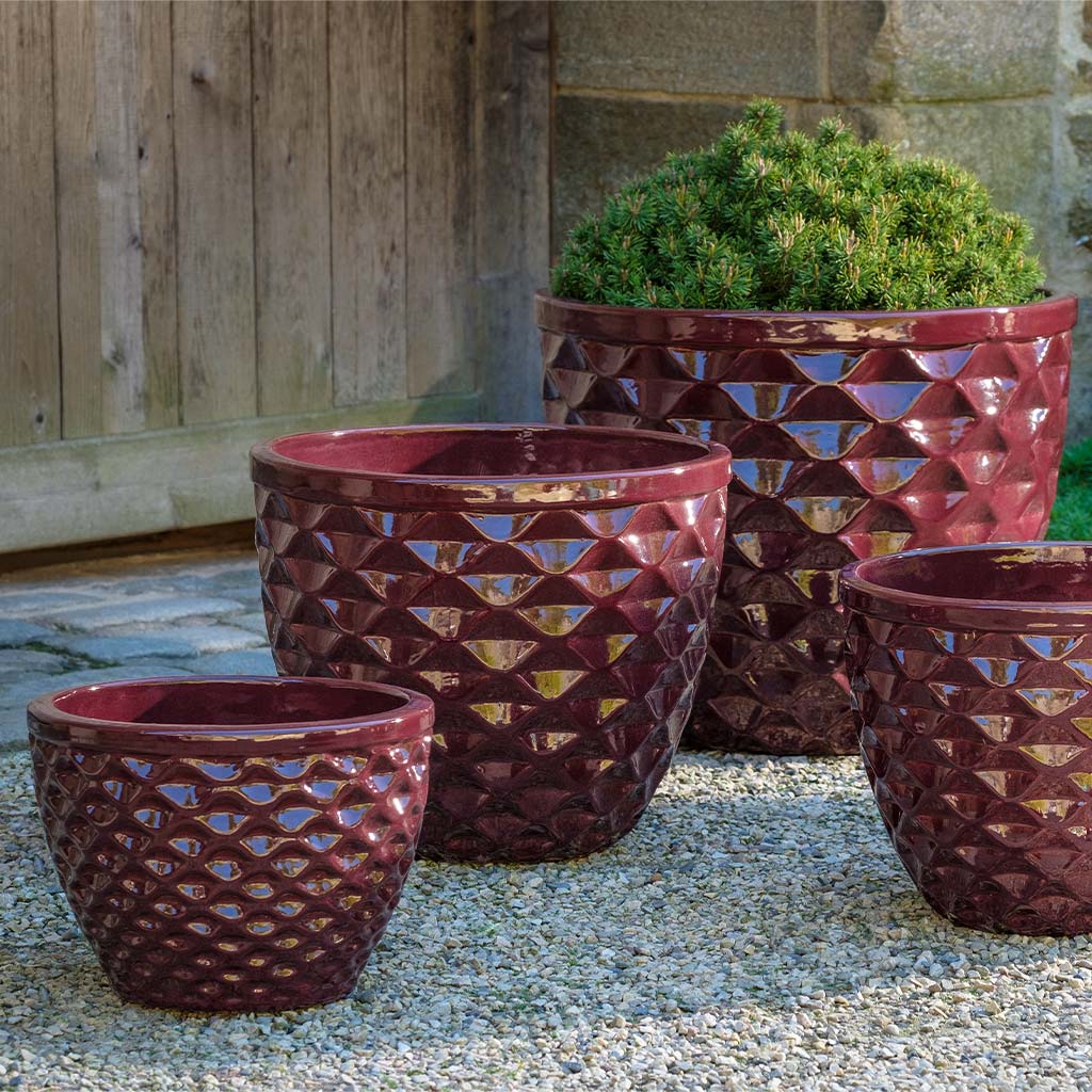 Campania Honeycomb Planter, Set of 4 - 8410-1304 - Image 2
