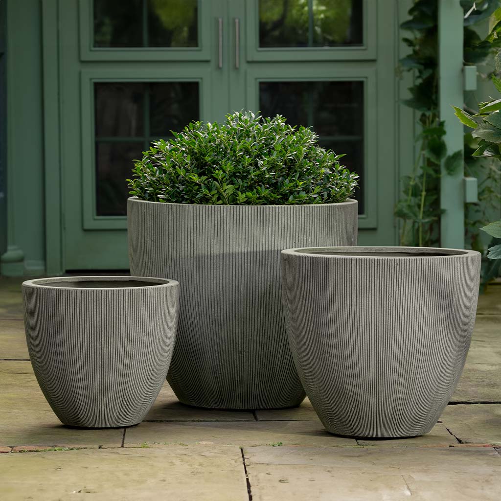 Campania Airy Planter - 94-031-22100 - Image 2