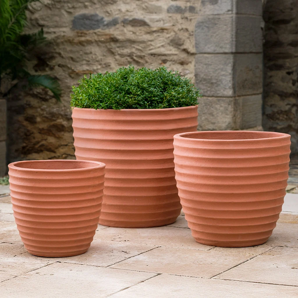 Campania Linea Planter, Set of 3 - 6324-13703 - Image 5
