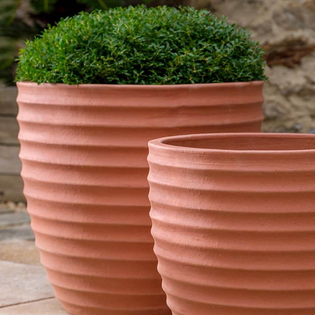 Campania Linea Planter, Set of 3 - 6324-13703 - Image 6