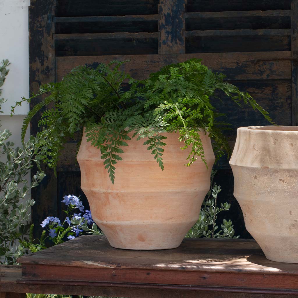 Campania Malaga Planter, Set of 4 - 6500-2404 - Image 2
