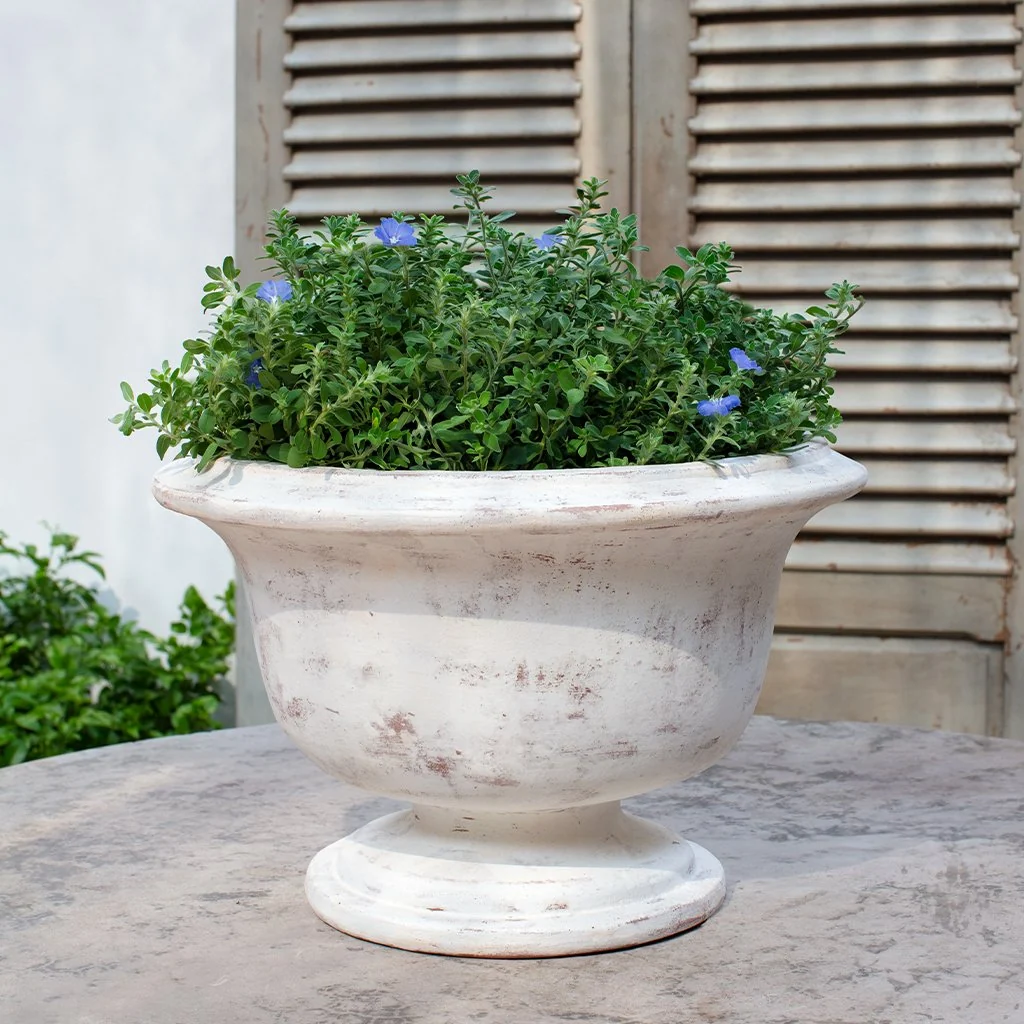 Campania Margaux Urn Planter - 7019-0701 - Image 3