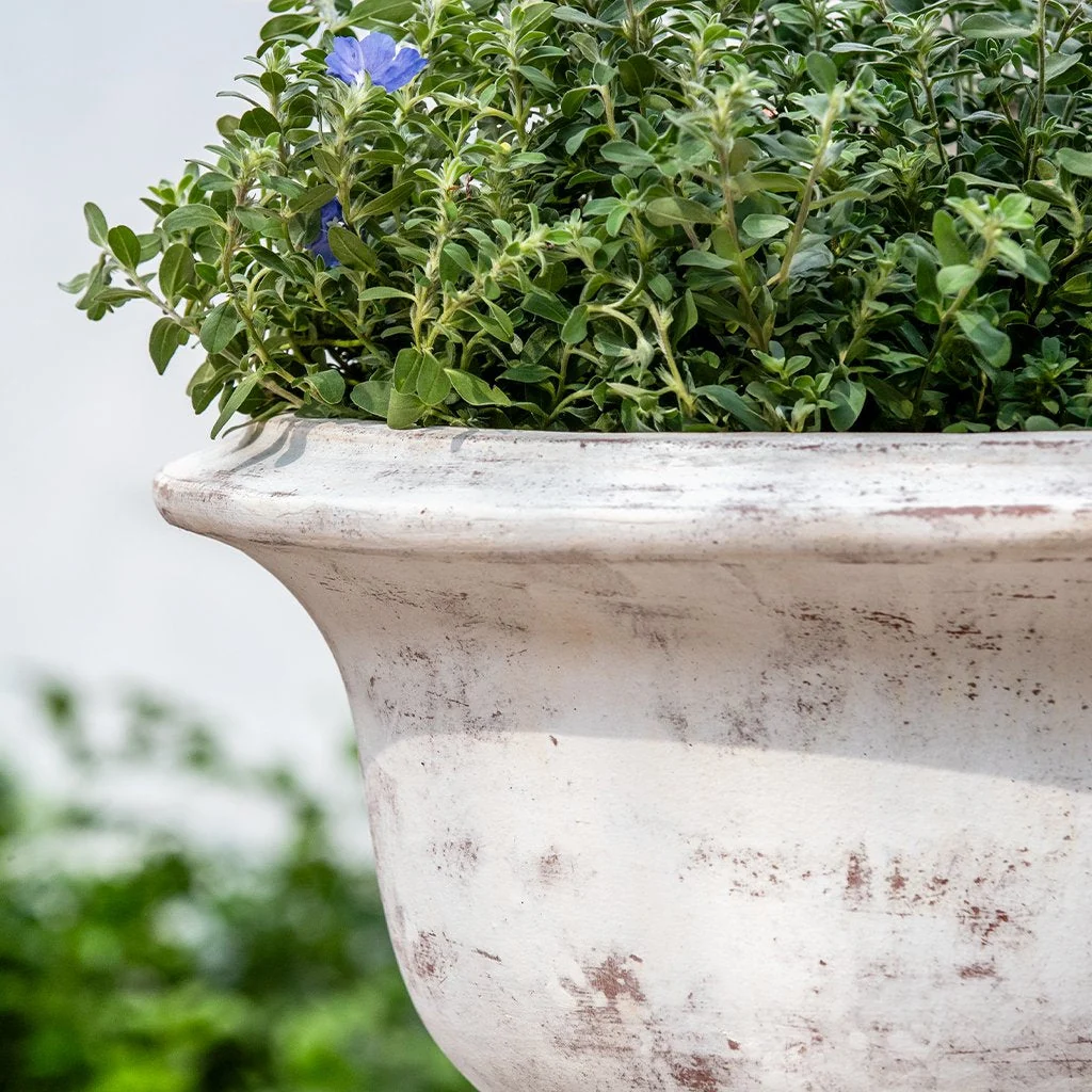 Campania Margaux Urn Planter - 7019-0701 - Image 4