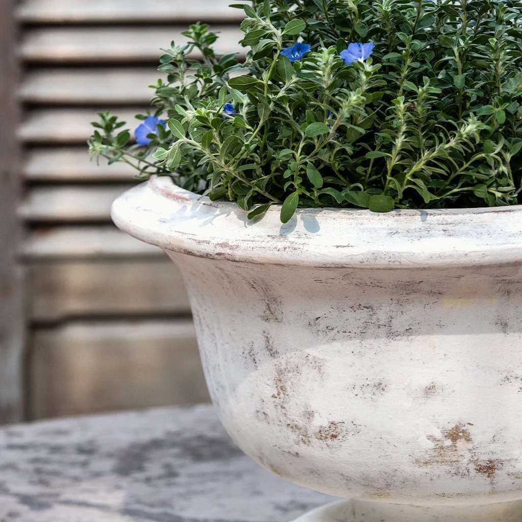 Campania Margaux Urn Planter - 7019-0701 - Image 5