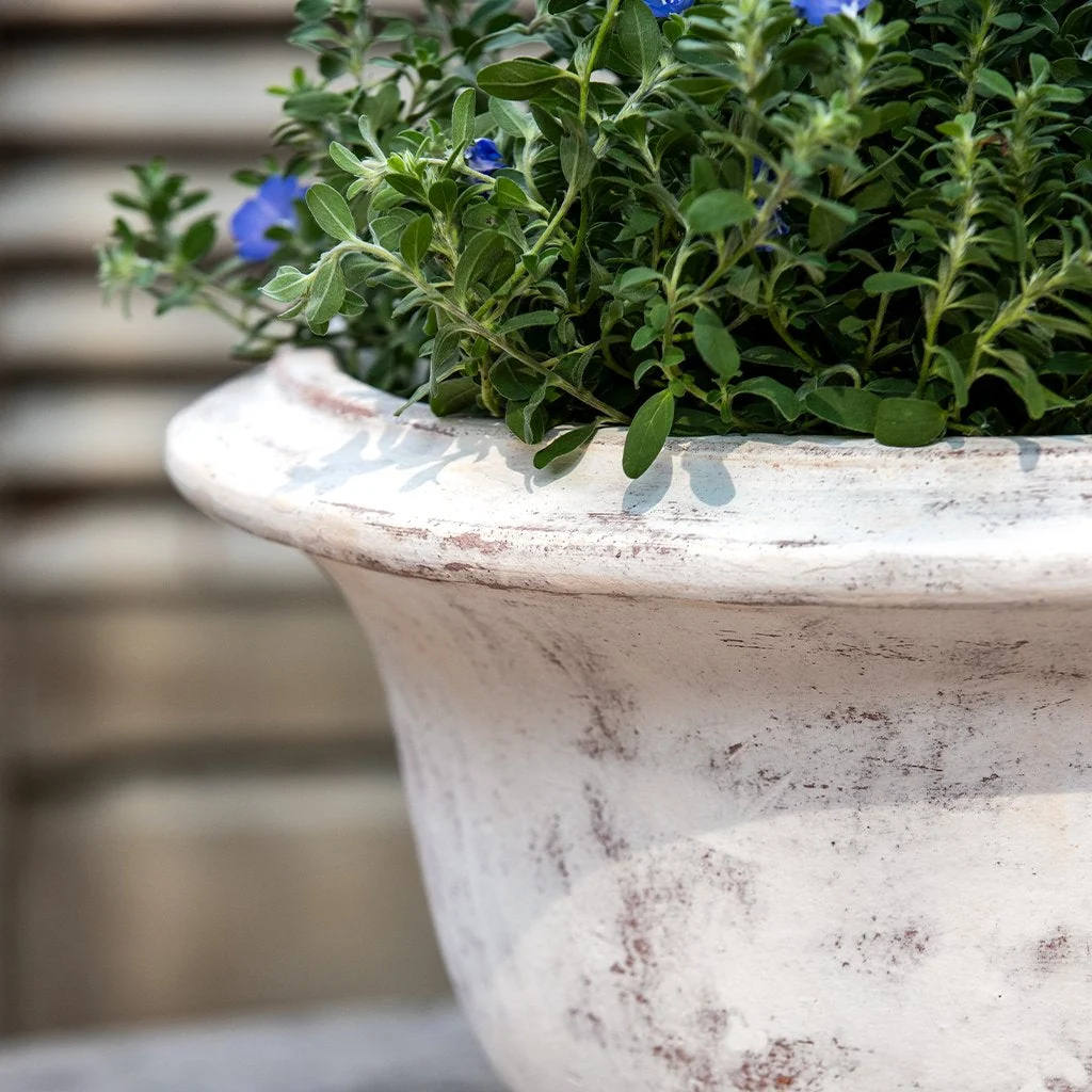 Campania Margaux Urn Planter - 7019-0701 - Image 6