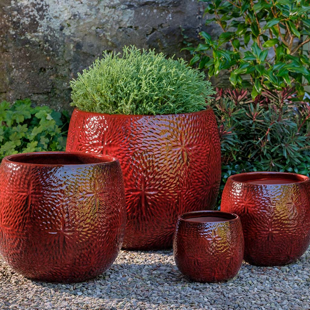 Campania Sand Dollar Planter, Set of 4 - 8851-0904 - Image 3