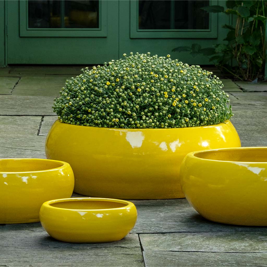 Campania Sasha Planter, Set of 4 - 1002-22504 - Image 3