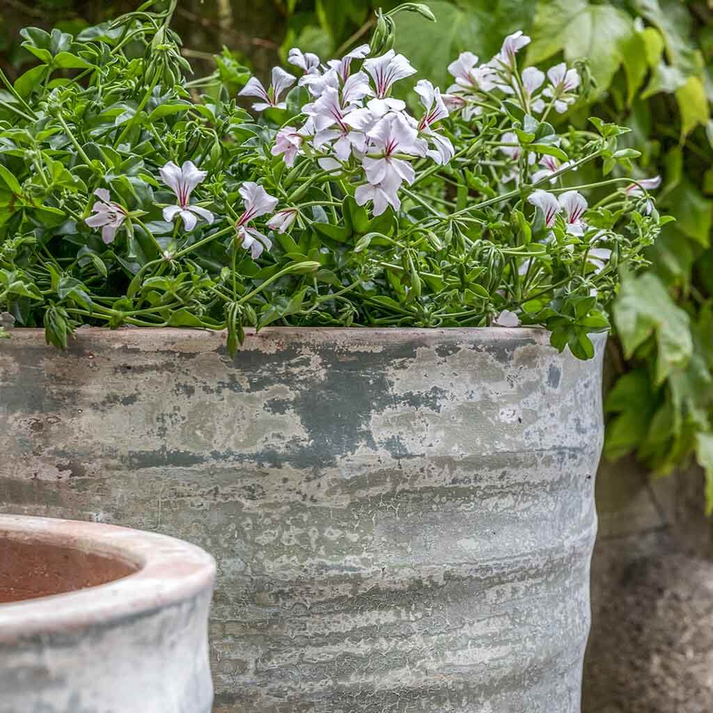 Campania Sistina Planter, Set of 2- 5003-18002 - Image 4