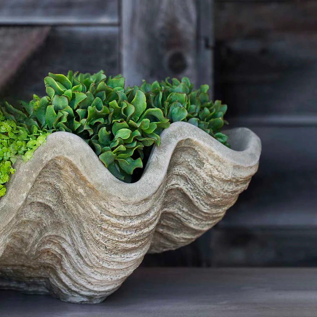 Campania South Seas Shell Planter, Large - W-106 - Image 2