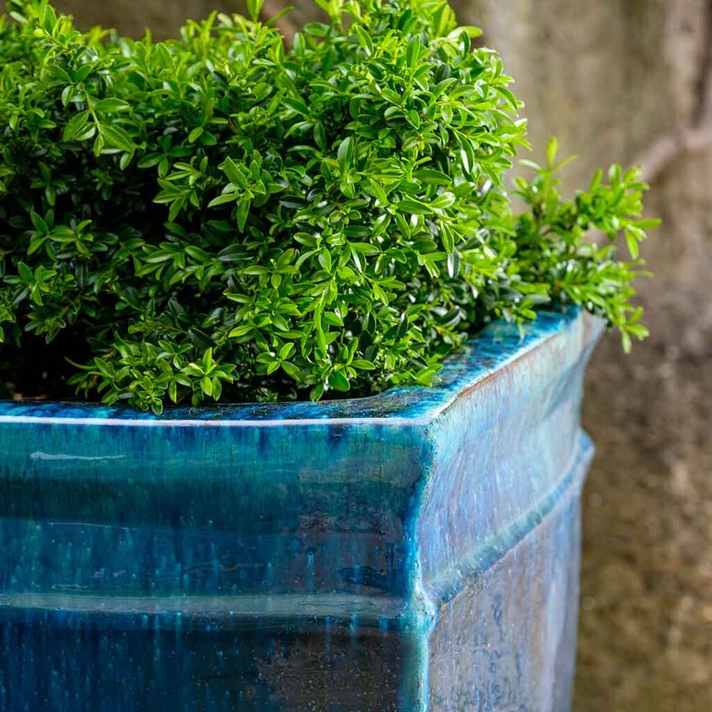 Campania Square Rolled Rim Planter, Set of 3 - 8100-0103 - Image 3