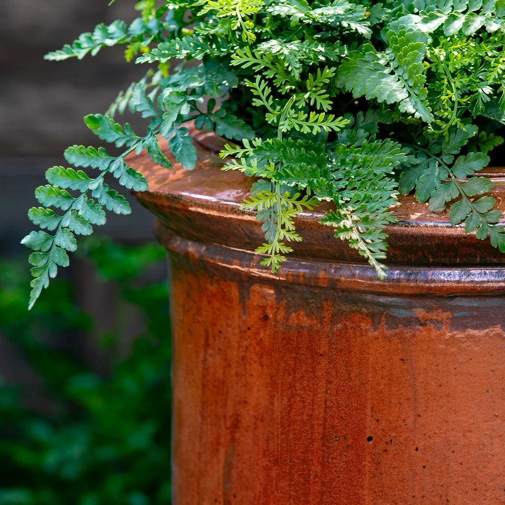 Campania Vaucluse Urn Planter - 7018-0701 - Image 4