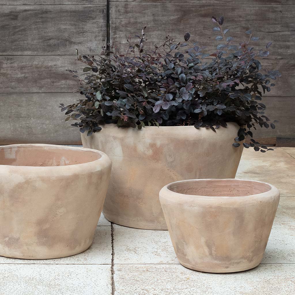 Campania Whitby Planter,  Set of 3 - 6492-2403 - Image 2