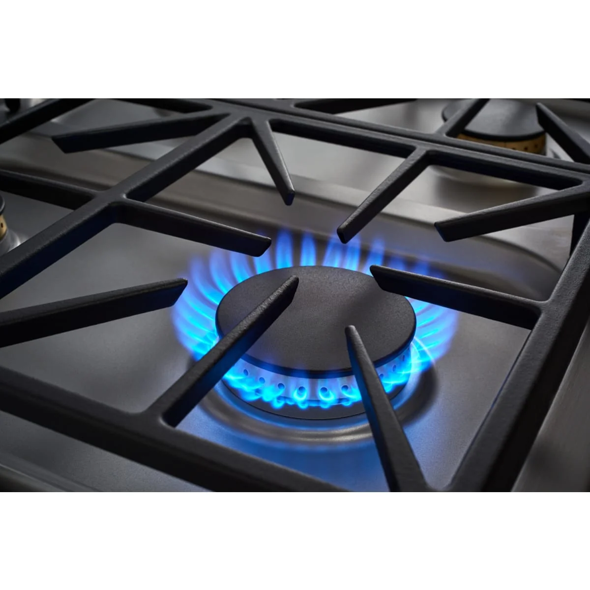 Dacor 36-Inch Transitional Gas Cooktop, Silver Stainless, NG/LP - DTG36P875NS - Image 3