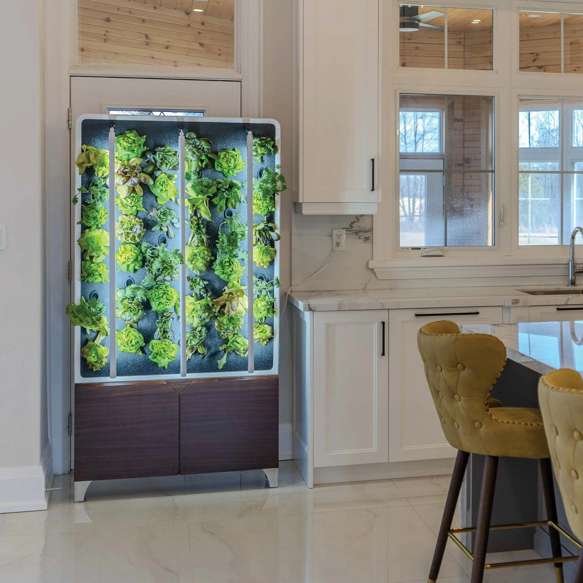 Just Vertical The ECO Living Green Wall