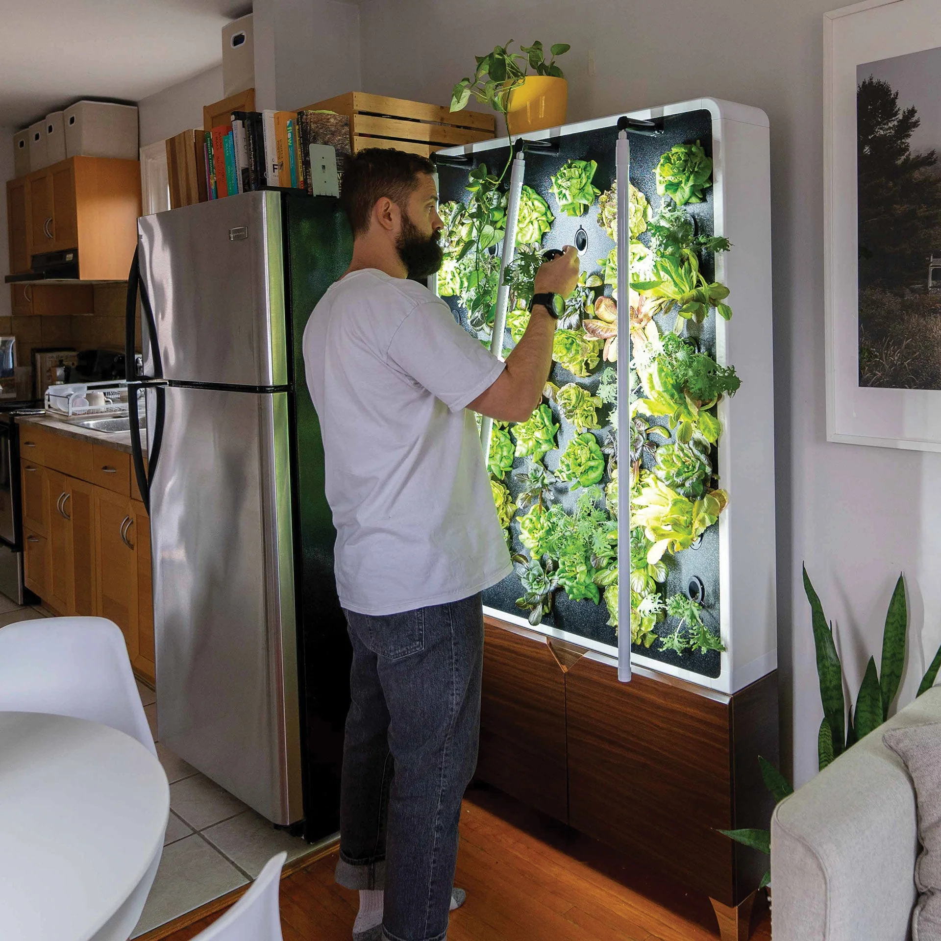 Just Vertical The ECO Living Green Wall - Image 2