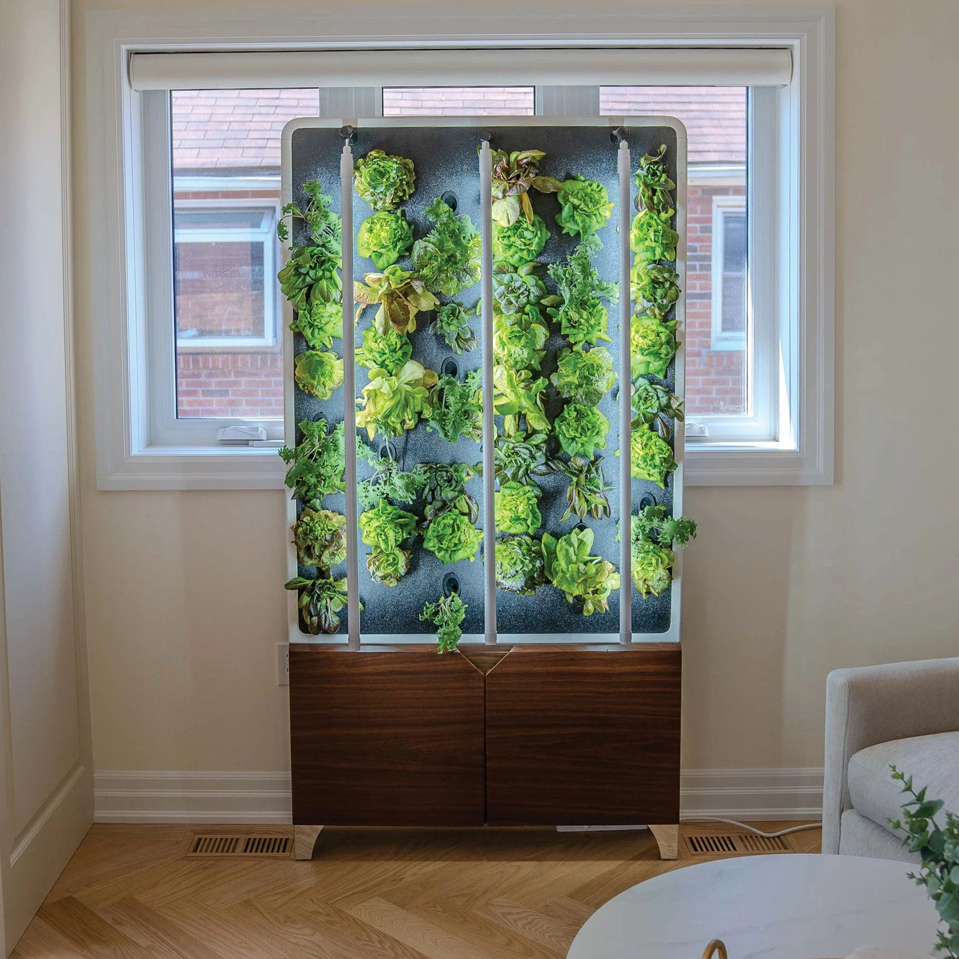 Just Vertical The ECO Living Green Wall - Image 6