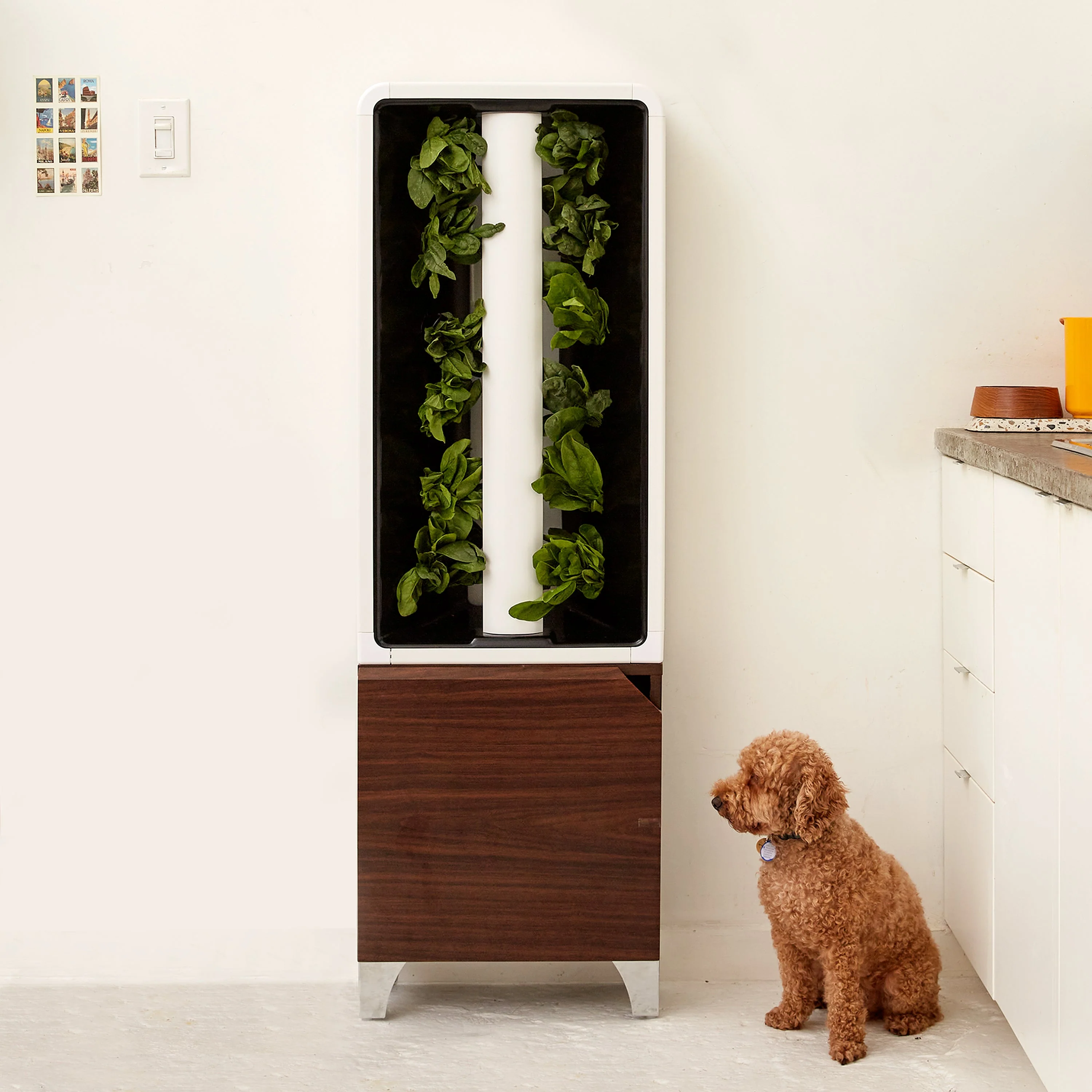 Just Vertical The EVE Tower Garden - Image 4