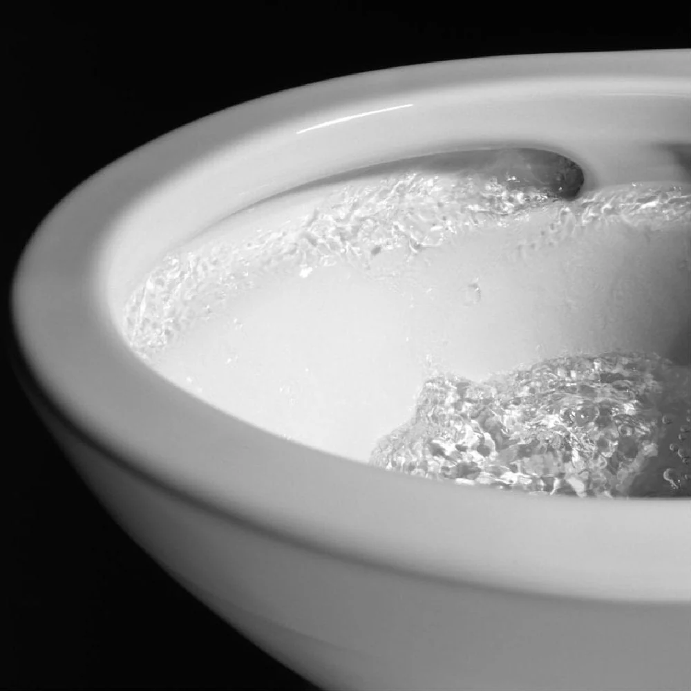 [MW4423084CEFG#01] TOTO Nexus Two Piece Toilet 1.28 GPF Elongated Toilet Included C5 Bidet Seat (SAK17395) - Image 7