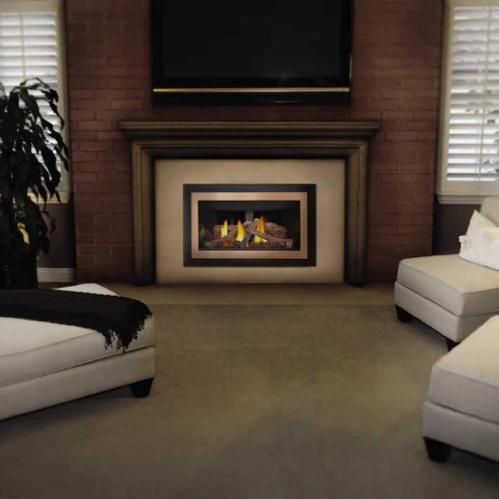 Napoleon Inspiration ZC Direct Vent Millivolt Ignition Natural Gas Fireplace Insert, 36" [GDIZC-NSB] - Image 3