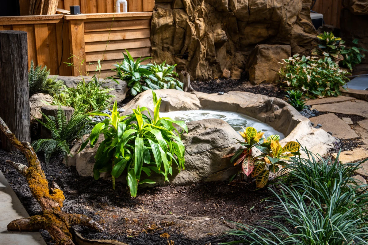 Natural Spas Haven In Ground Hot Tub and Spa - Image 5
