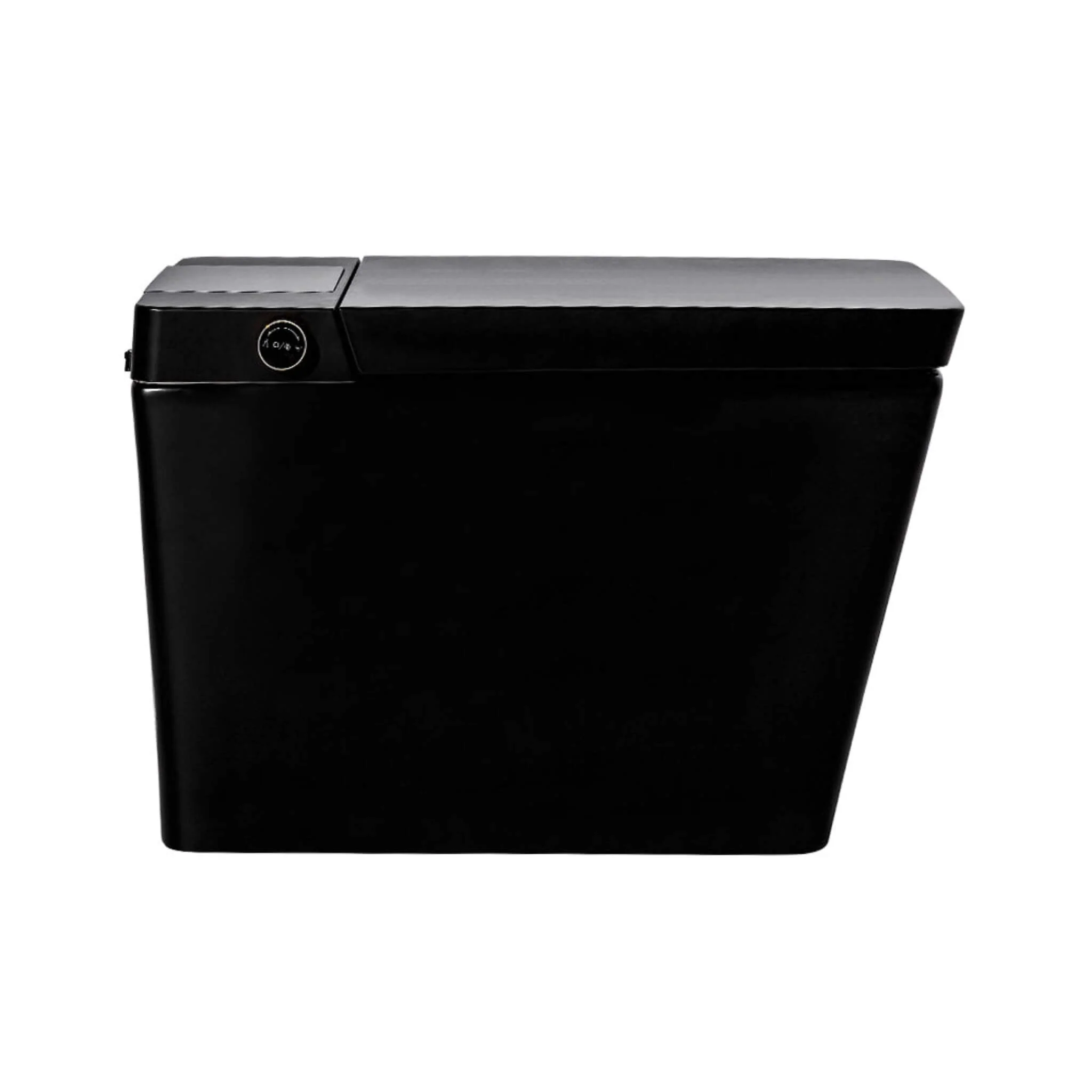 Premium Multifunctional Single-Piece Automatic Smart Toilet With Remote Control, Matte Black (96471352) - Image 6