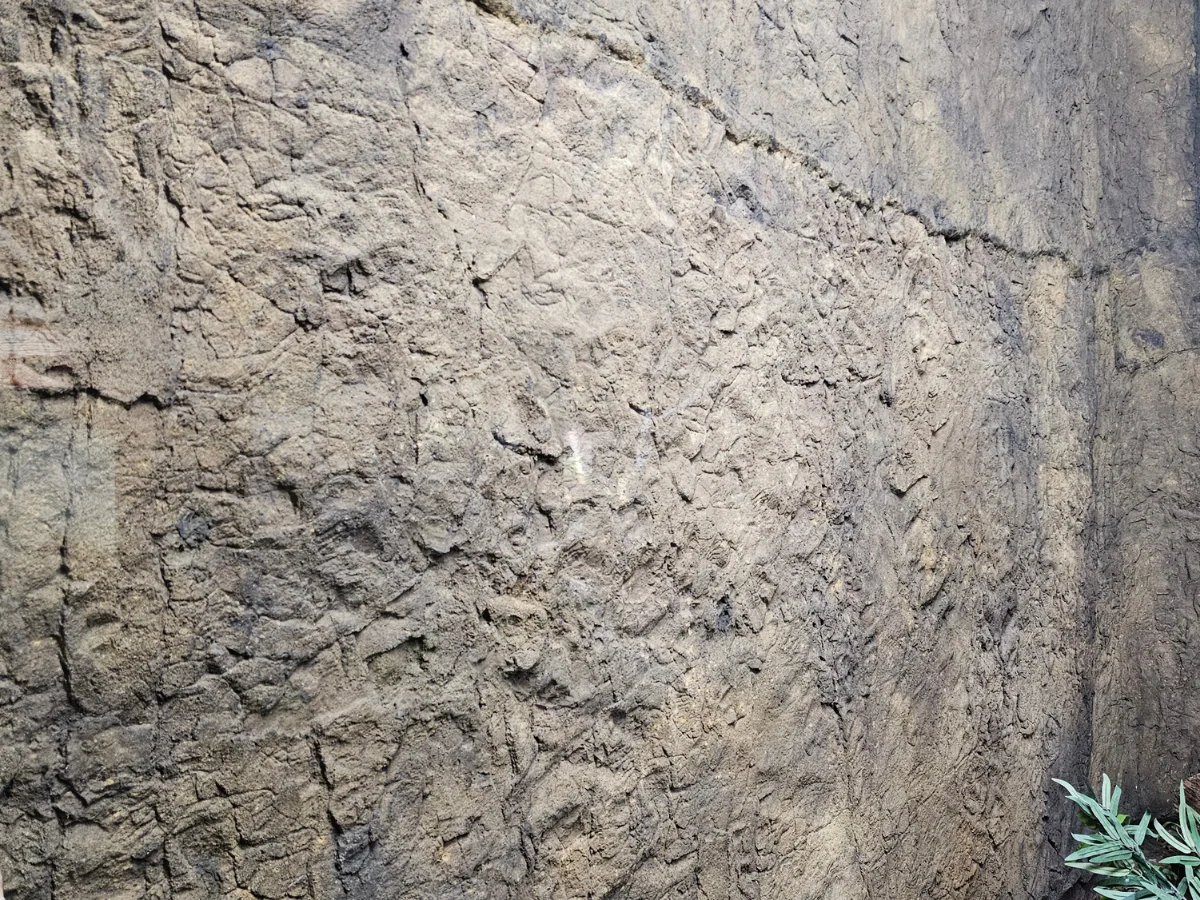 Universal Rocks Rocky Rock Wall 10' x 6' Panel – ROCKY-WALL-PANEL - Image 4